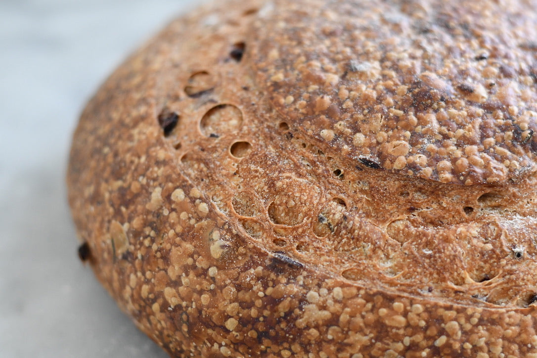 Olive + Rosemary Sourdough Bread